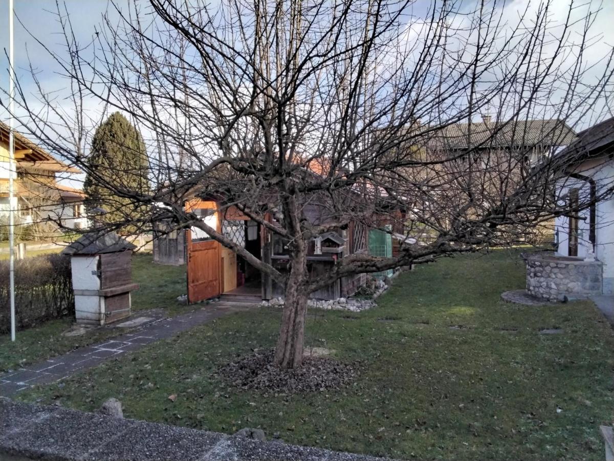 Ferienwohnung Maxl Fischbachau Luaran gambar